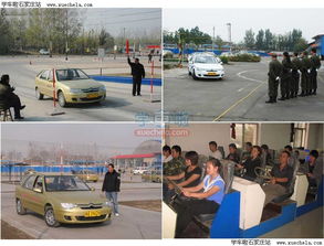 石家莊大眾駕校 專業(yè)的機(jī)動(dòng)車駕駛員培訓(xùn)伙伴